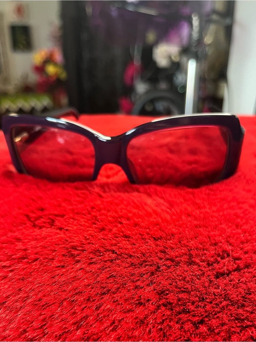 Moschino Purple Cat-Eye Women's Sunglasses